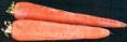 carrots