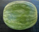 melon