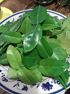 kaffir leaves